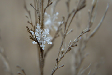 Wintertime, snow flakes
