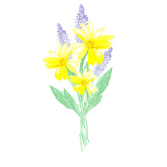 Watercolor simple bouquet of wildflowers. Delicate, summer collection of flowers will add warmth and beauty to your design. Great for greeting cards, invitations, and other paper products.