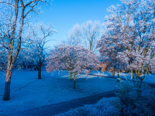 Morgendämmerung und Sonnenaufgang an einem Wintermorgen im Ravensberger Park von Bielefeld bei Raureif und etwas Schnee.