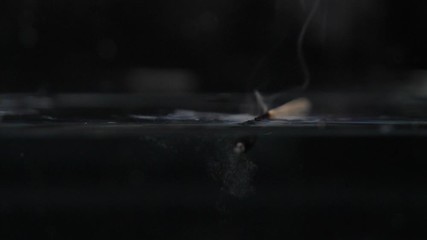 Dropping burning matchstick in water, extinguishing flame.  - Powered by Adobe