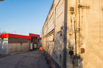 ein Tiertransporter tankt an einer Tankstelle