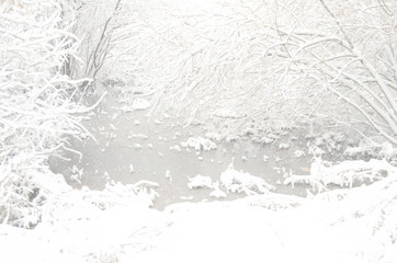 frozen pond surrounded by snow-covered trees in winter