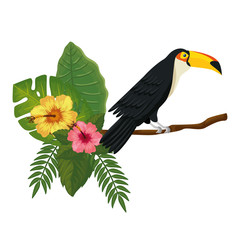 Fototapeta premium toucan on branch with leafs and flowers vector illustration design