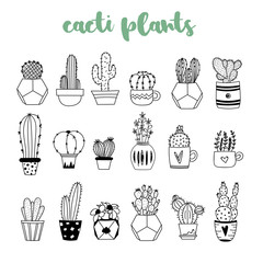 Cacti plant sketch illustration. Home cactus and plants. Handdrawn cacti clipart