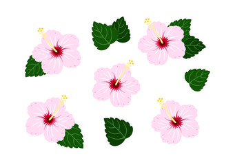 Hibiscus Light pink  / vector southern country / set