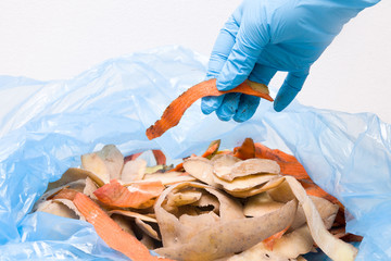 a hand in a rubbery disposable glove puts in a blue bag organic waste, waste sorting, waste...