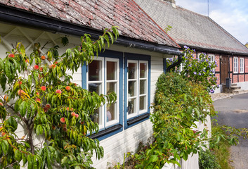 View into a street with small country houses and orchards