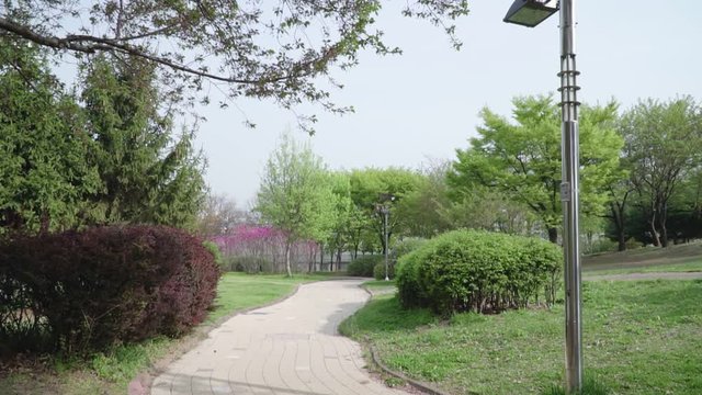 Botanical garden with growing red trees and flowers