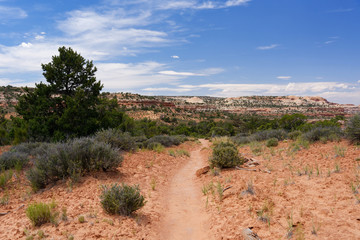 View from the Mesa Arch trail in Canyonlands National Park