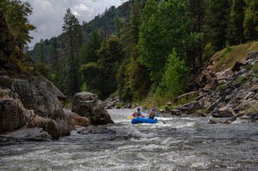 Fototapeta premium River rafting the American River