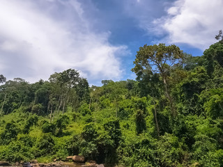 Fototapeta na wymiar View tropical vegetation on Lucala river banks, with and blue sky cloudy as background