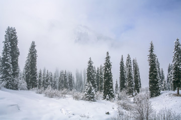 Allphotokz Tuyuk-Su 20060410 9189 5D