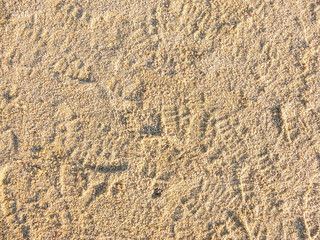 Human trace of a foot on sand 