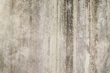 abstract,Texture of old concrete wall,Grey Cement textured abstract background,old wall with lichen,Dirty white wall background, close up moss texture on cement wall