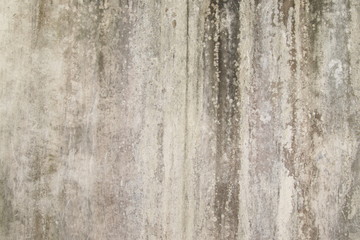 abstract,Texture of old concrete wall,Grey Cement textured abstract background,old wall with lichen,Dirty white wall background, close up moss texture on cement wall