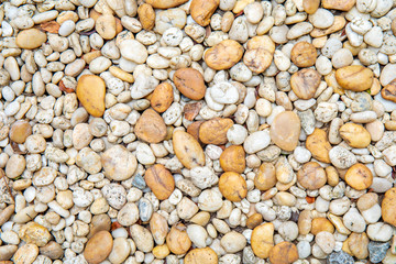 Colorful small pebbles or stone textured in garden with difference color.