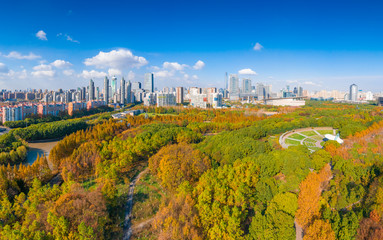 Aerial aerial photographof of the new century park in Pudong New Area, Shanghai, China