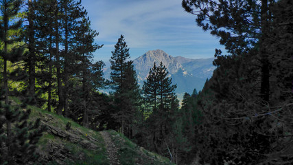 Gallina Pelada  Refuigi d'Ensija Saldes Barcelona Catalunya Spain