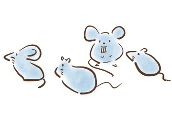 mouse illustration 