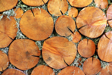 fire wood log, winter season theme image