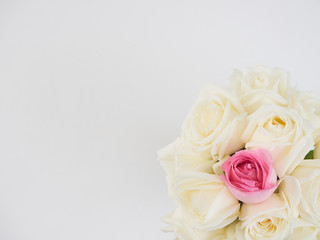 Fototapeta premium White roses isolated on white background