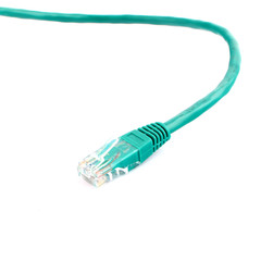 Colored network cables patch cords on white background