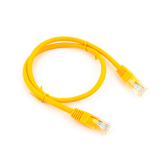 Colored network cables patch cords on white background