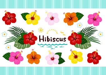 Hibiscus / Southern country plant set / colorful vedtor - obrazy, fototapety, plakaty