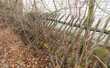 Old wooden boards on the fence as a background