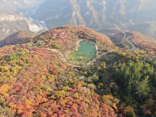 一面紅葉の空撮
