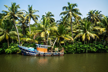 Fototapeta na wymiar Old ocean fishing boat along the canal Kerala backwaters shore with palm trees between Alappuzha and Kollam, India