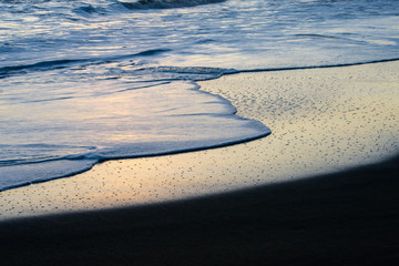 Flat waves shine on dark sand in this dusk view of waves on a tropical beach. © Jennifer L Morrow