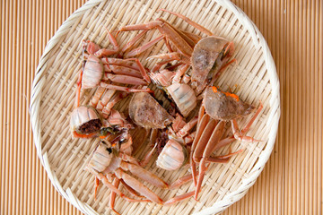 ズワイガニ　メス　鍋用