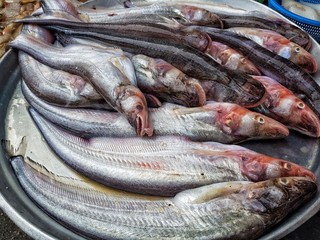Fresh whole raw fish on ice for sale at Fresh Market