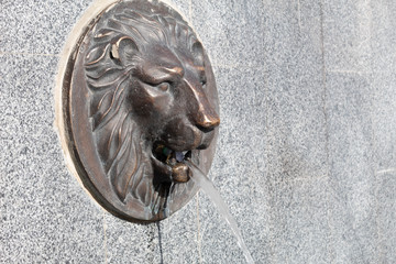Fountain in the city park. On a stone wall is the head of a lion, from whose mouth a stream flows.