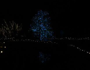 christmas tree on black background