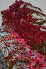 The famous tourist area of ​​the Czech capital of Prague is Prague Castle overlooking the Royal Palace in the autumn-winter season.