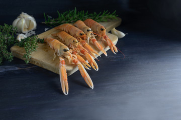 Fresh langoustine, also called scampi or Norway Lobster on a cutting board, garlic and herbs,...