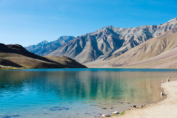 Himachal Pradesh, India - Sep 03 2019 - Chandra Taal (Moon Lake) in Lahaul and Spiti, Himachal Pradesh, India. It is part of Ramsar Convention - Chandertal Wetland.