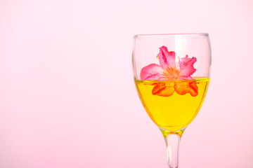 glasses of cocktails on white background