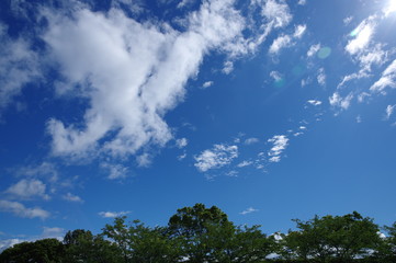 青い空