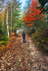 Obraz premium woman in the autumn forest. picturesque foggy forest