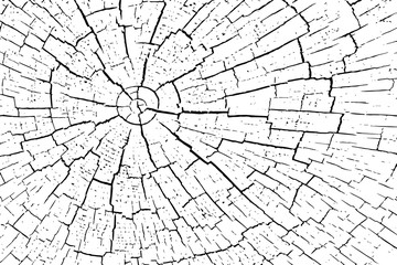 Fragment of an old tree with a knot ,invoice of wood.