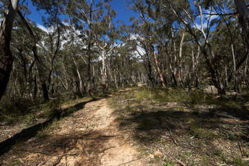 Mt York walking track in the Blue Mountains, New South Wales, Australia.