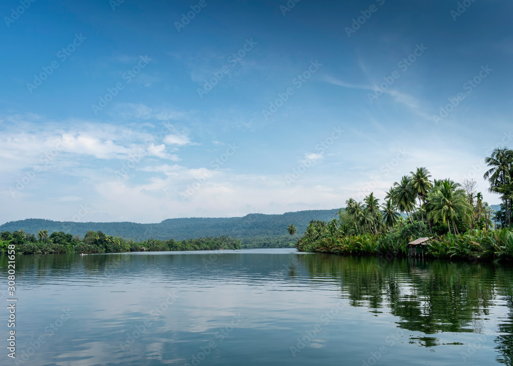 Wall mural tatai river jungle nature landscape in remote cardamom mountains cambodia