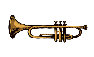 Fototapeta na wymiar Musical instrument. Trumpet. Vector drawing