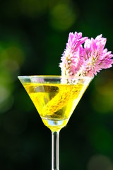 glasses of orange martini cocktail