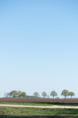 Obraz premium Trees along the horizon on the hills of the Hondsrug (hills) in Drenthe (The Netherlands) near Buinen