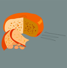 drawing of natural cheese, vector graphics