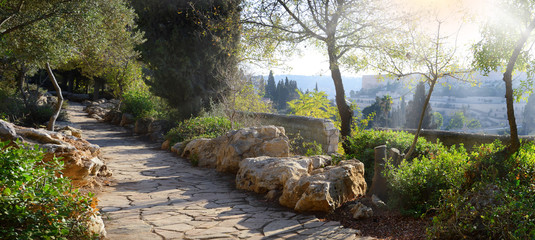 Naklejka premium View of Jerusalem from the Mount of Olives